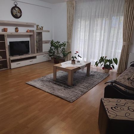 Cosy Apartment I Тыргу-Муреш Экстерьер фото