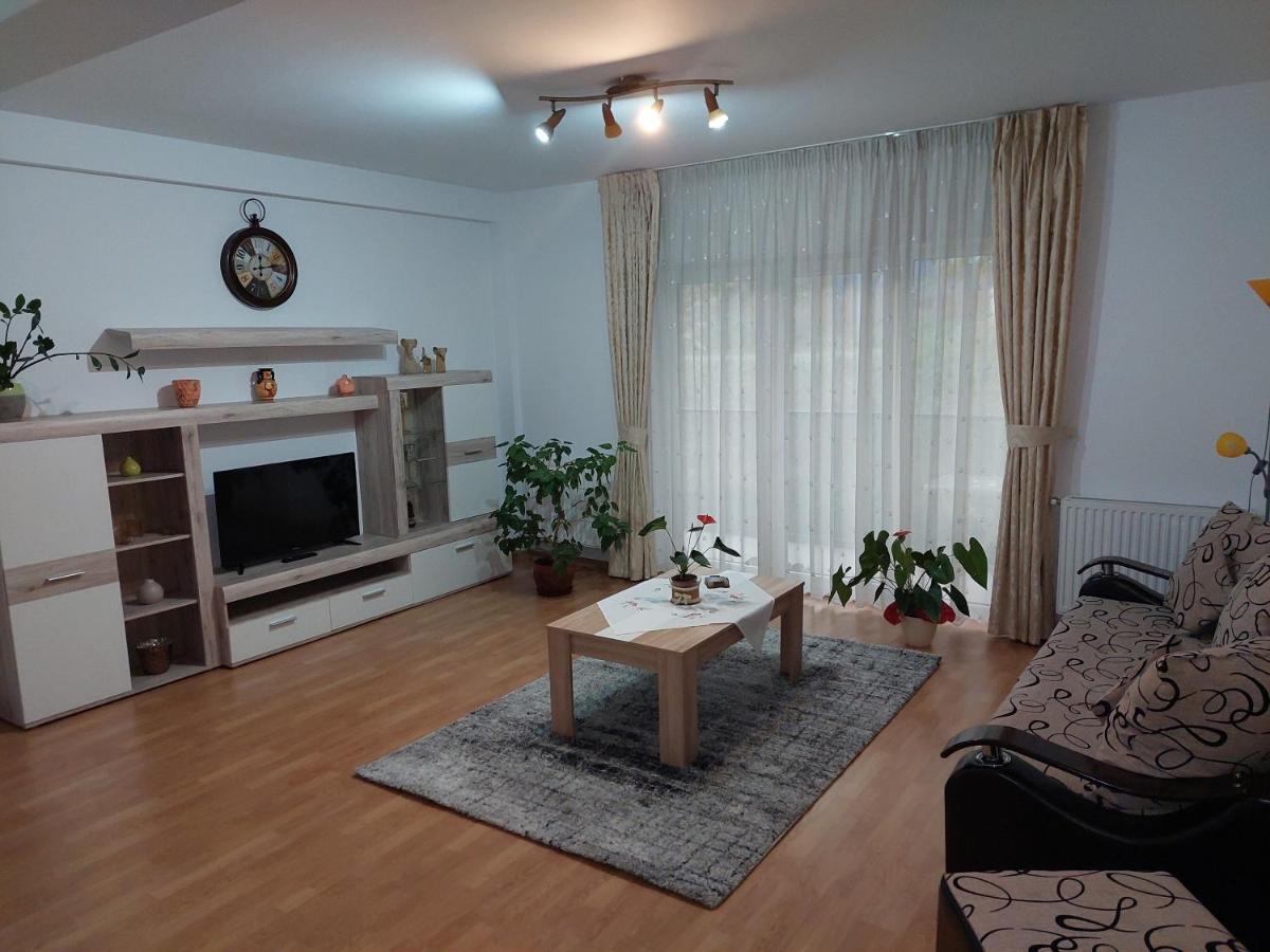 Cosy Apartment I Тыргу-Муреш Экстерьер фото